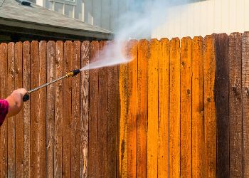 Fence Cleaning