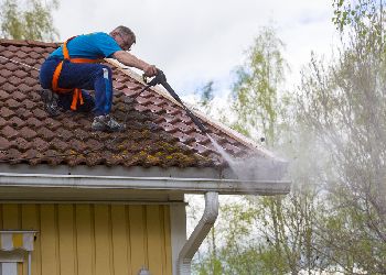 Gutter Cleaning